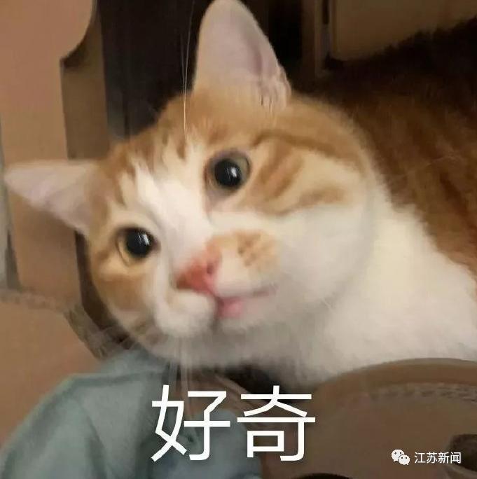 DƬ